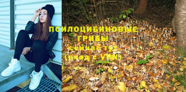 не бодяженный Богородицк