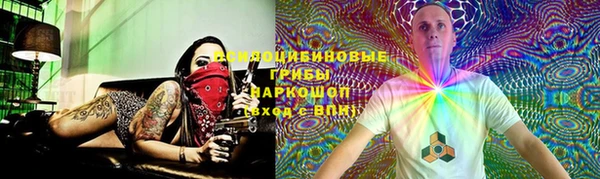 эйфоретик Богданович
