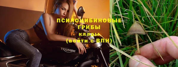 не бодяженный Богородицк